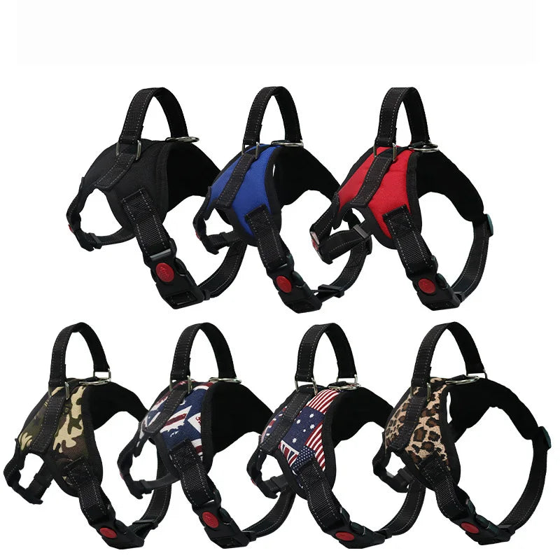 Adjustable Dog Harness with Lead