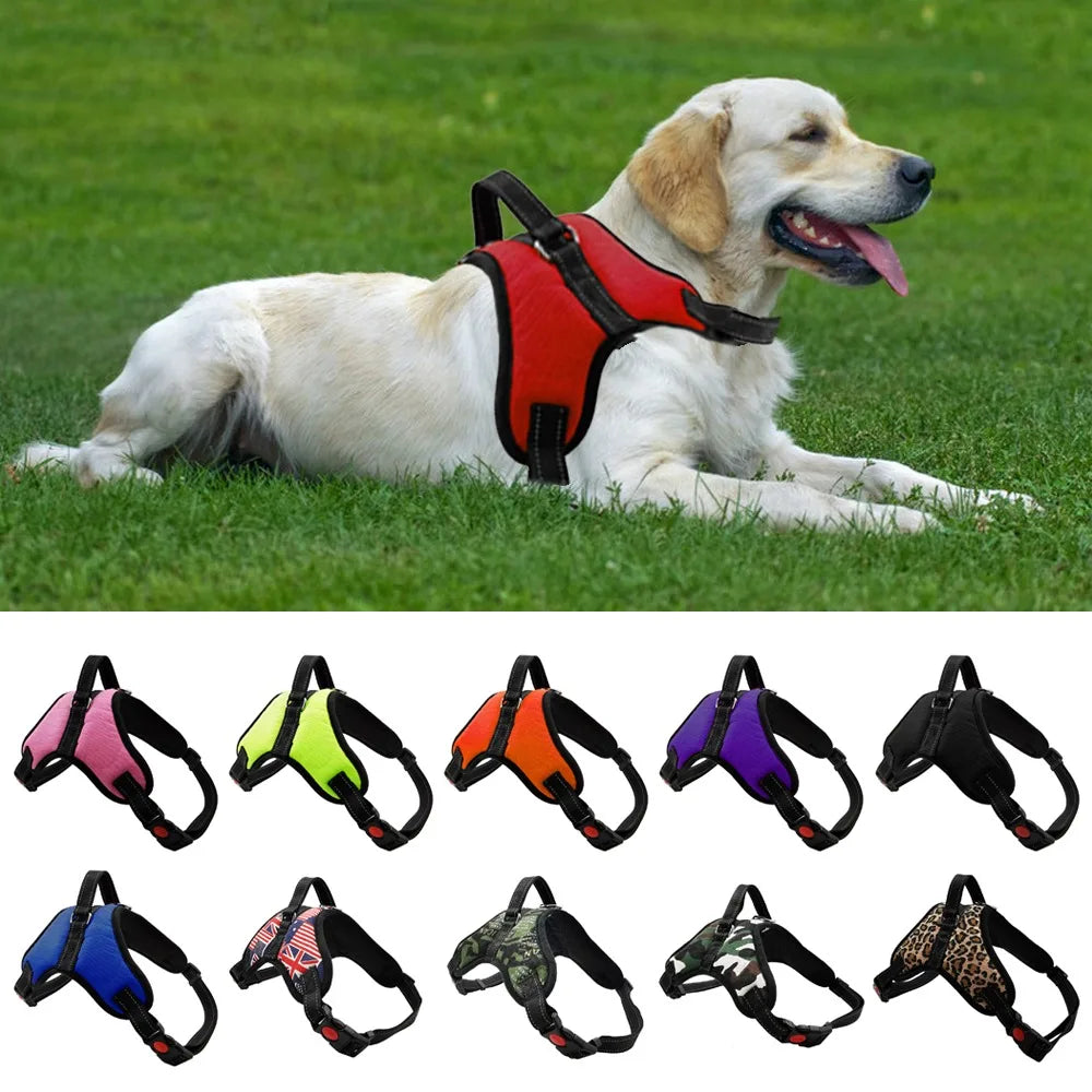 Adjustable Dog Harness with Lead