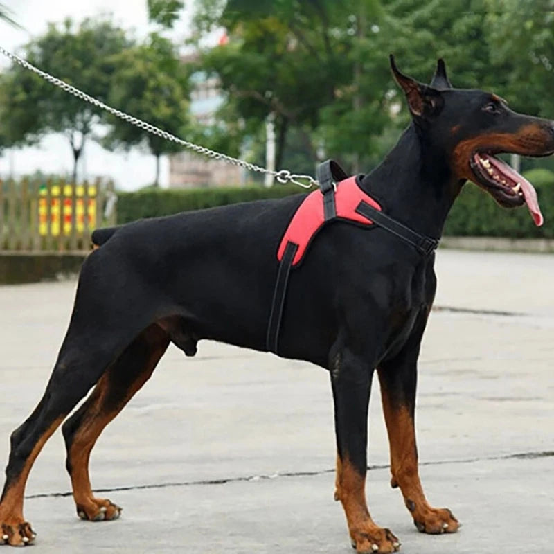 Adjustable Dog Harness with Lead