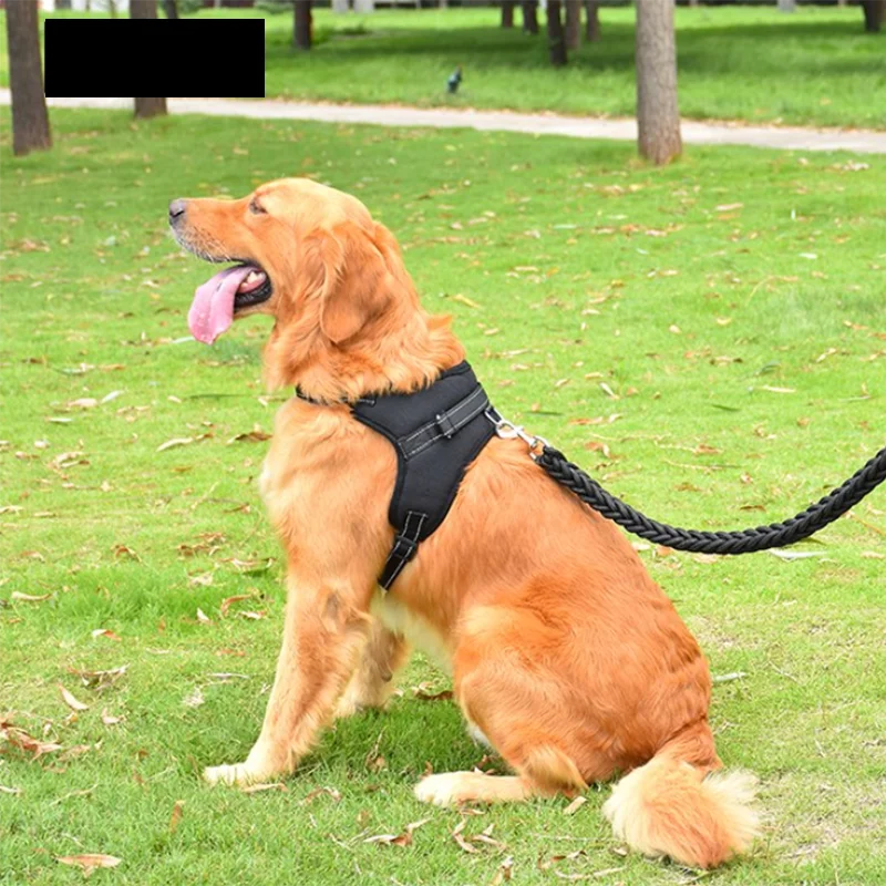 Adjustable Dog Harness with Lead