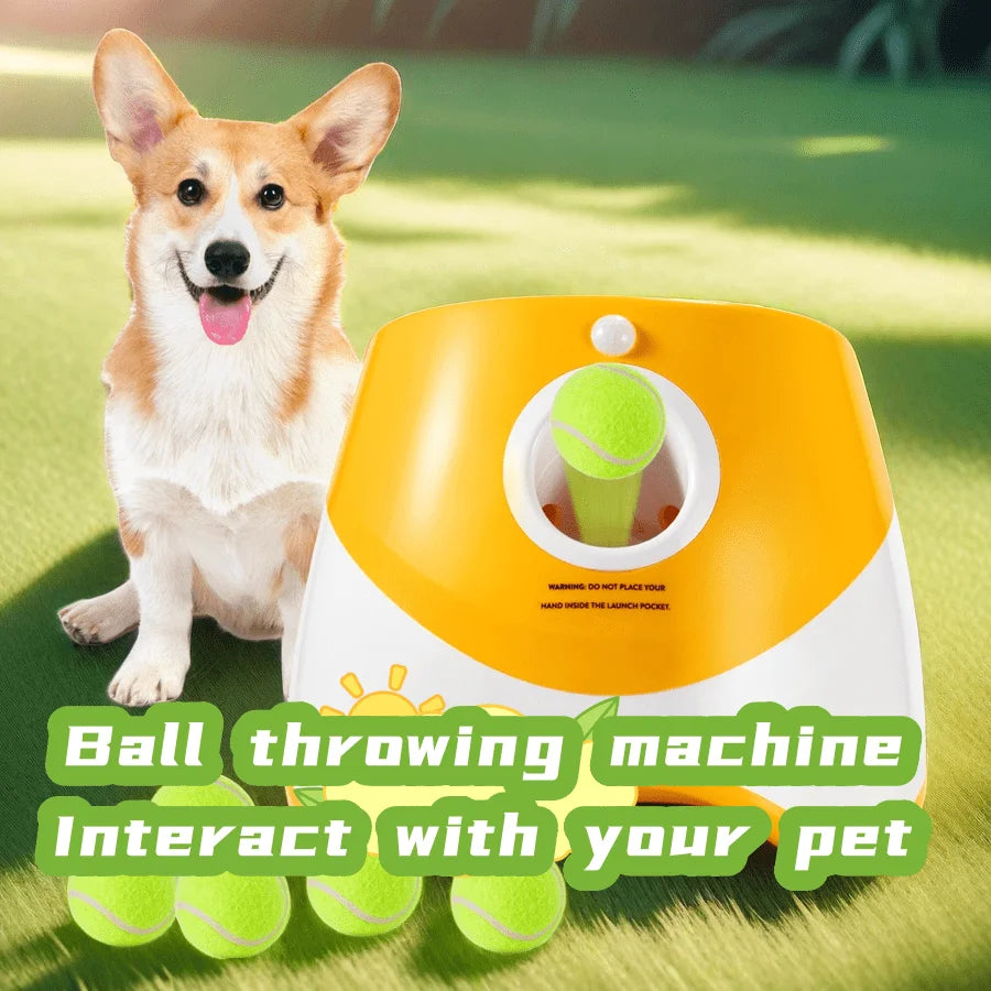 Automatic Ball Launcher for Dogs..