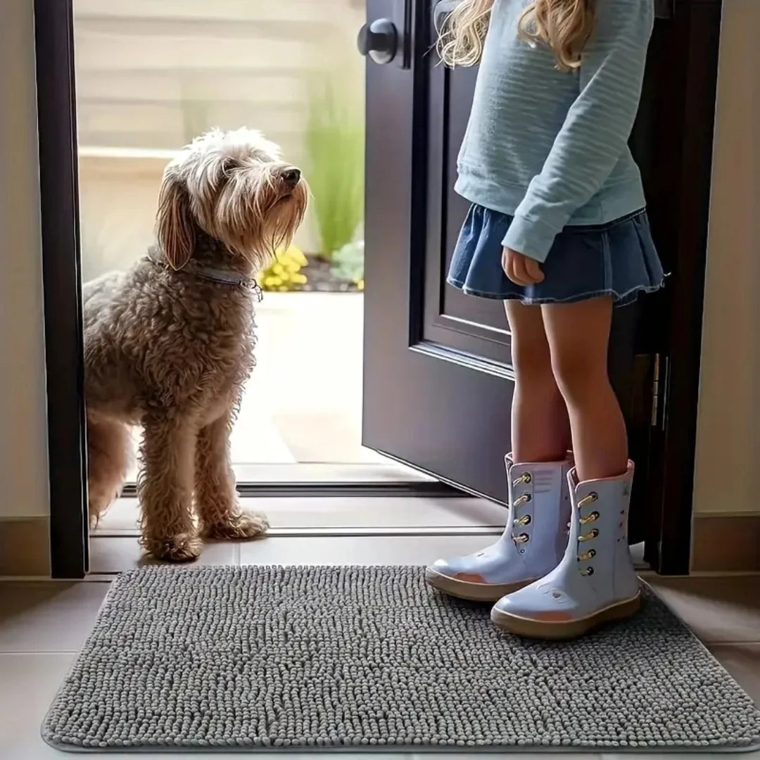 Dog Door Mat For Muddy Paws