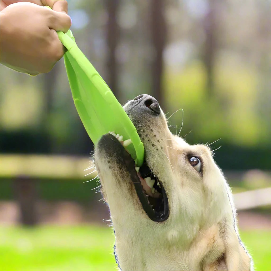 Bite Resistant Flying Disc Toys For Dogs