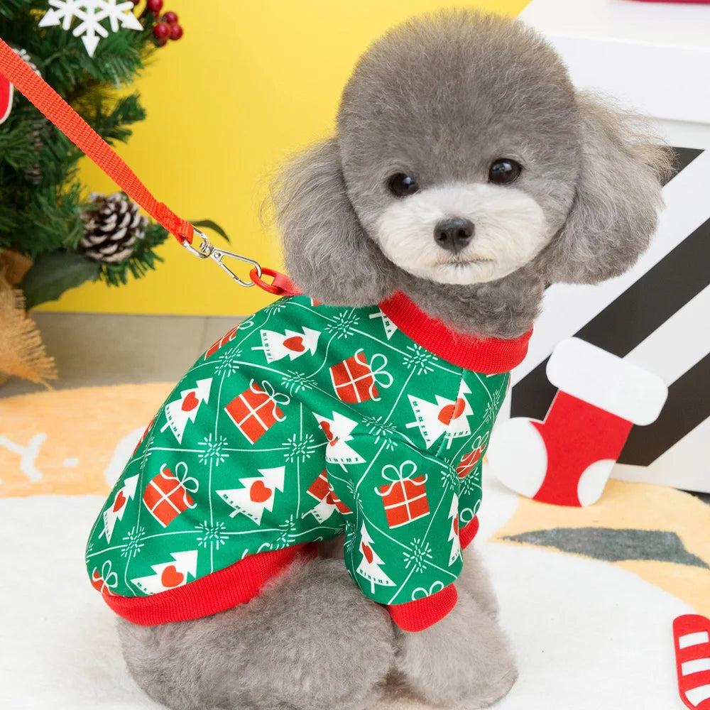 Festive outfit for your pooch