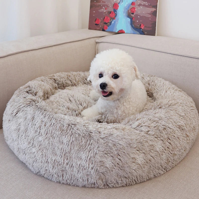 Fluffy Dog Bed