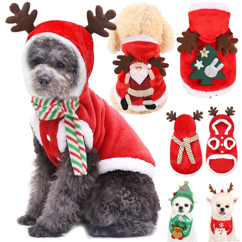 Dog Santa Costume