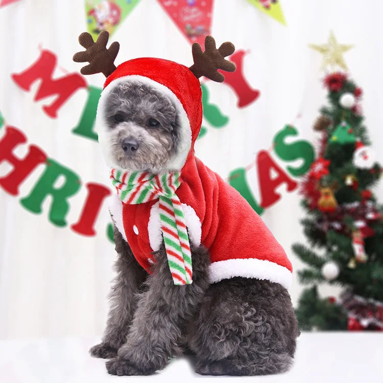 Dog Santa Costume