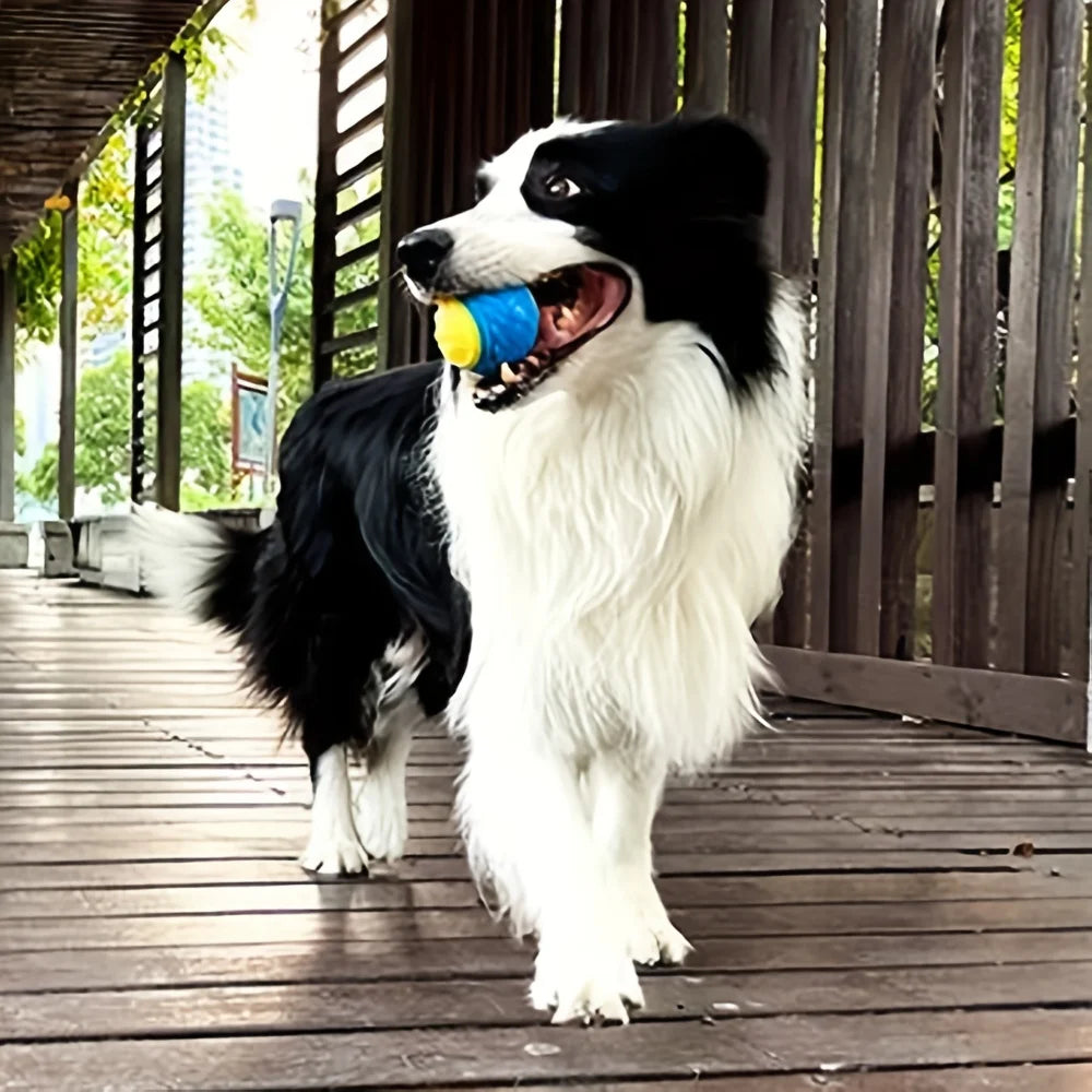 Interactive Dog Toy for Relieving Anxiety and Boredom