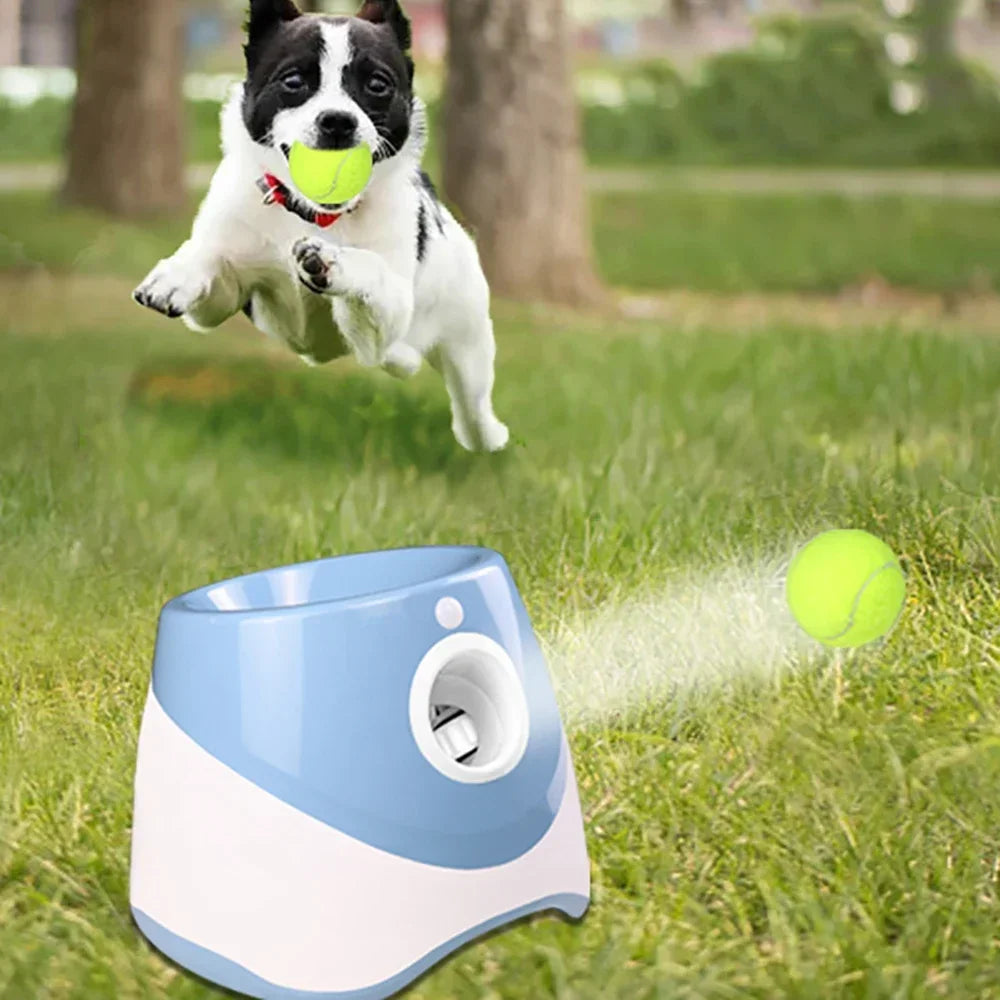 Automatic Ball Launcher for Dogs..