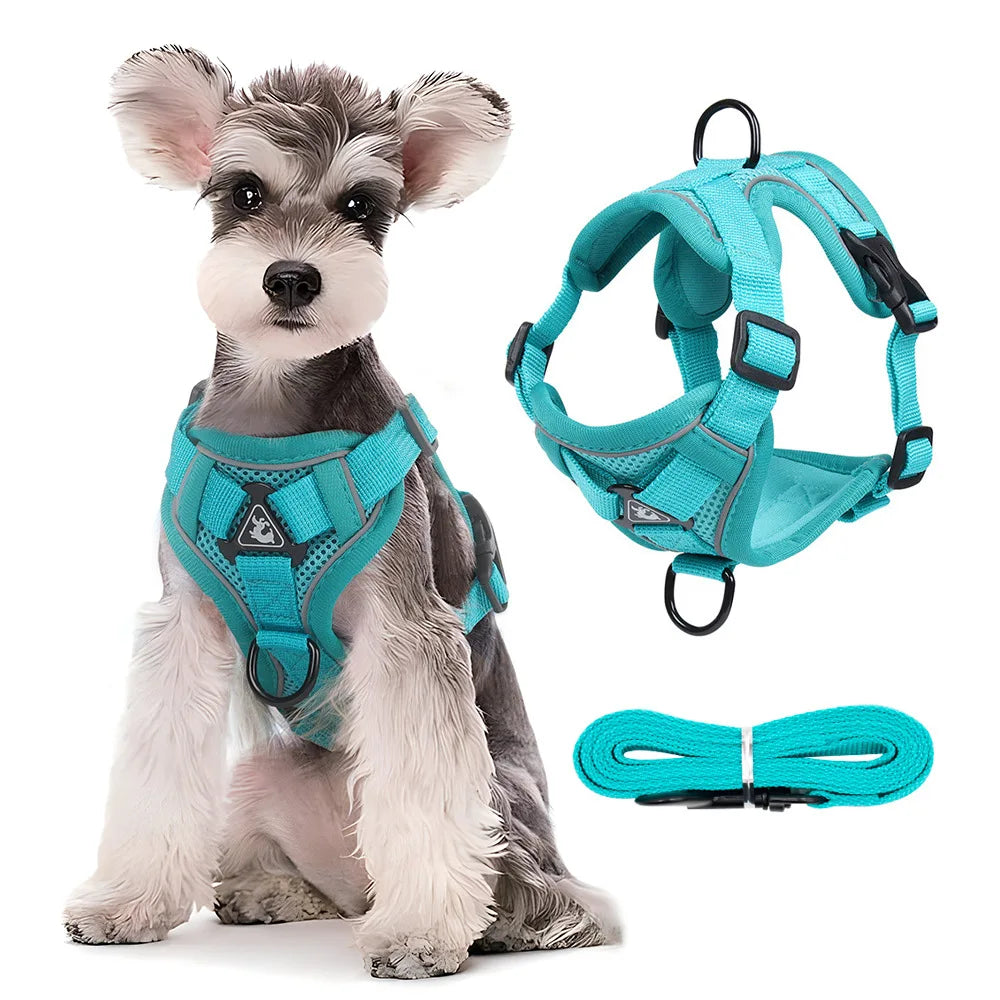 Dog Harness Lead Set For Small and Medium Dogs