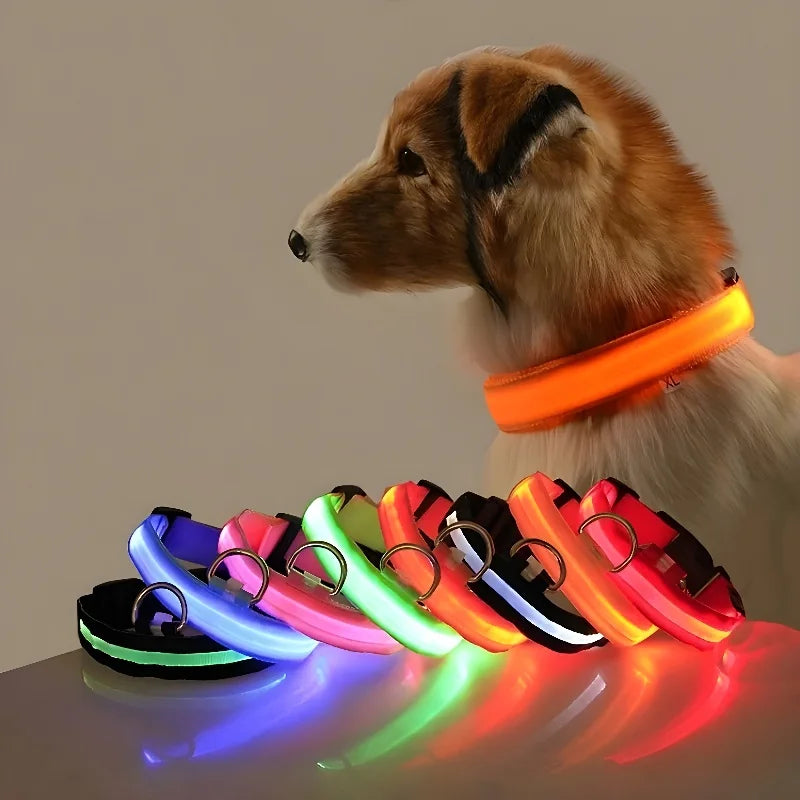 LED Dog Collar – Nylon, Glow-in-the-Dark Night Safety Collar