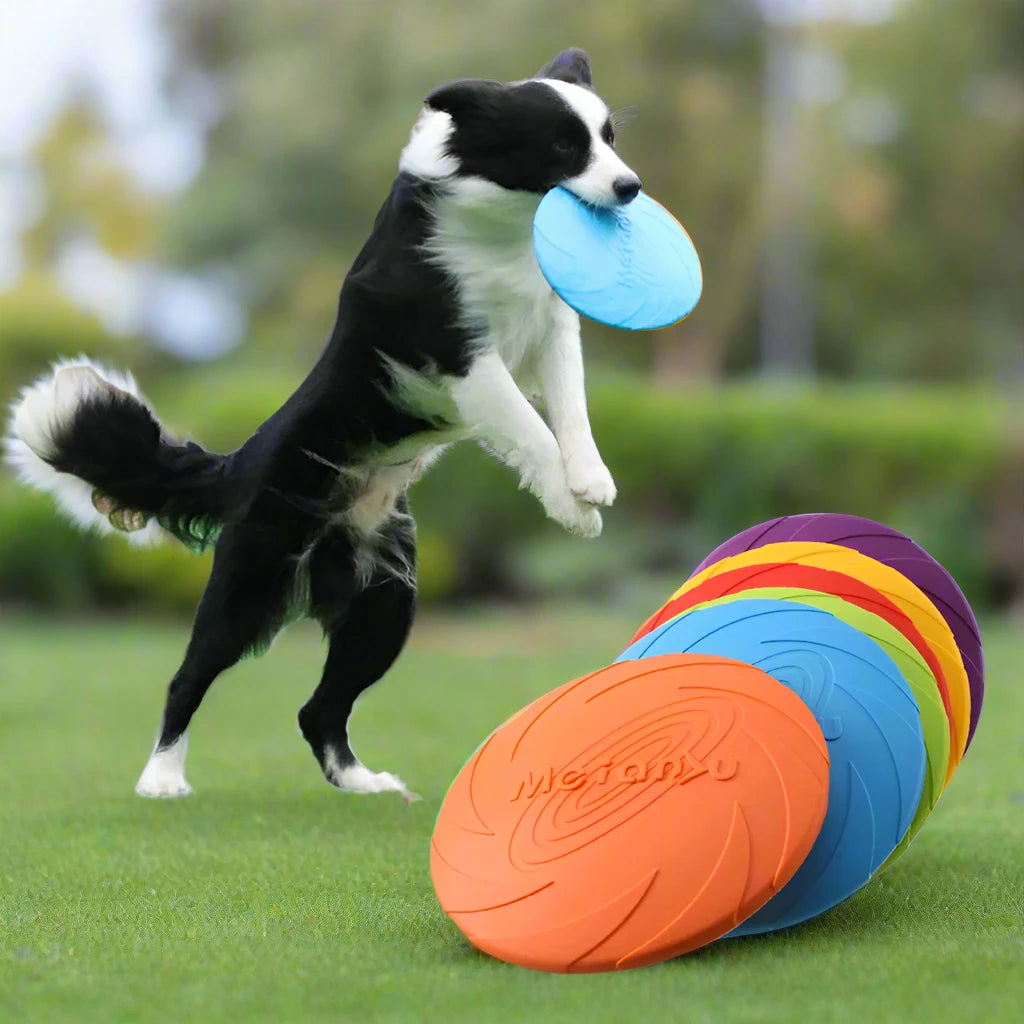 Bite Resistant Flying Disc Toys For Dogs